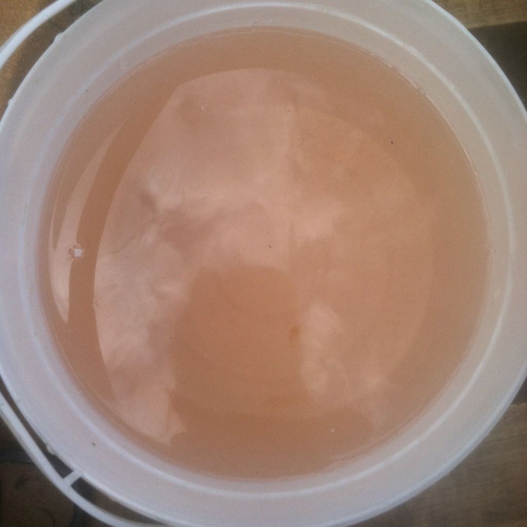 Chlorine made pool water turn brown Page 3 Trouble Free Pool